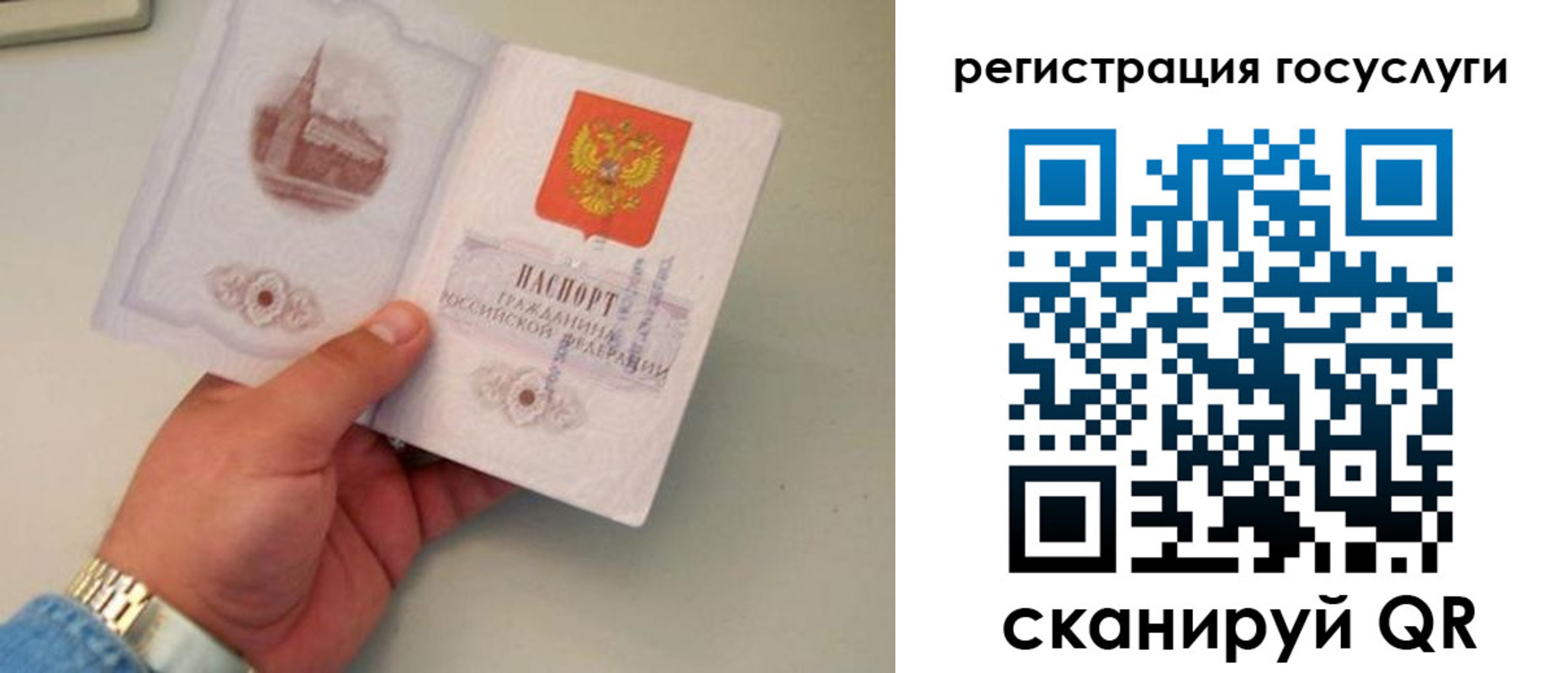 прописка регистрация в Димитровграде